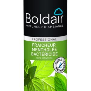 Boldair menthe 500 mL est un parfum d'ambiance antibactérien qui offre une fraîcheur mentholée durable.