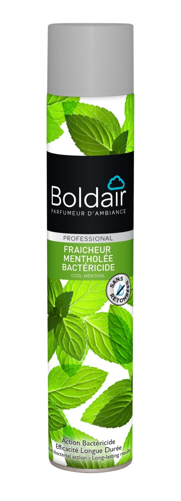 Boldair menthe 500 mL - 01DE05 Boldair menthe 500 mL est un parfum d'ambiance antibactérien qui offre une fraîcheur mentholée durable.